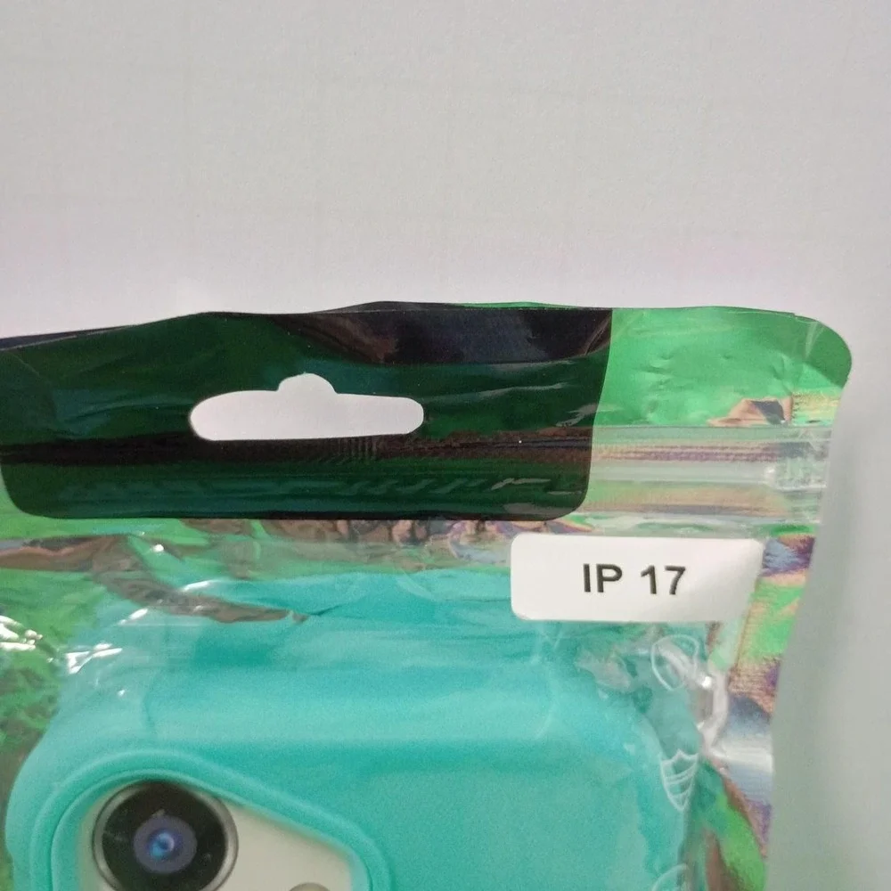 iPhone 17 6.3